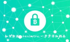 如何激活Tokenimtrx：一步步详细指南
