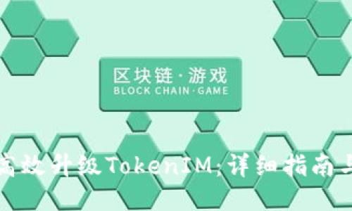 如何高效升级TokenIM：详细指南与技巧