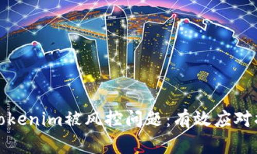 如何解决Tokenim被风控问题：有效应对措施与建议