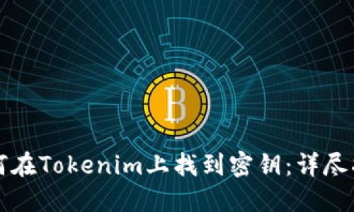 如何在Tokenim上找到密钥：详尽指南