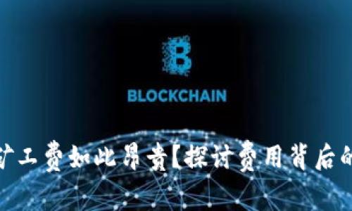 为什么Tokenim矿工费如此昂贵？探讨费用背后的原因与解决方案