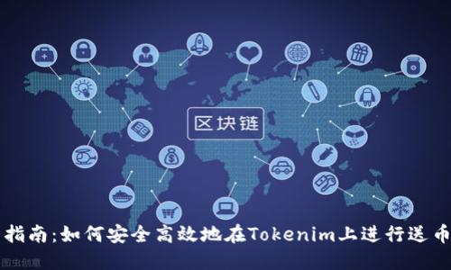 新手指南：如何安全高效地在Tokenim上进行送币操作