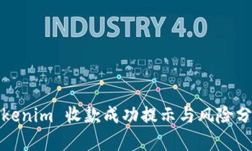 Tokenim 收款成功提示与风险分析