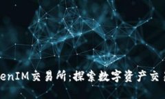 最新TokenIM交易所：探索数字资产交易的未来