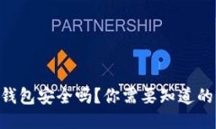 Tokenim钱包安全吗？你需要知道的防盗技巧