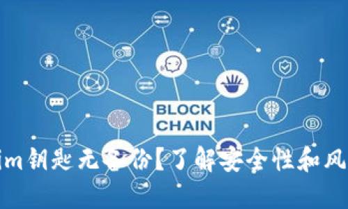 Tokenim钥匙无备份？了解安全性和风险管理