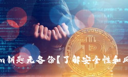 Tokenim钥匙无备份？了解安全性和风险管理