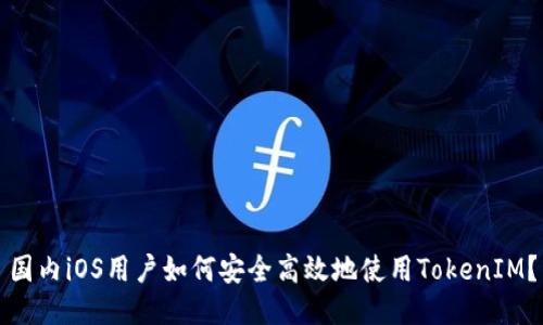国内iOS用户如何安全高效地使用TokenIM？