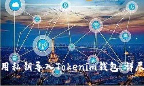 如何用私钥导入Tokenim钱包：详尽指南
