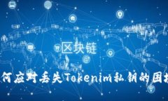 如何应对丢失Tokenim私钥的困境？