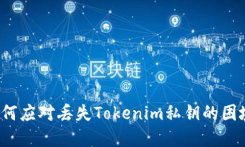 如何应对丢失Tokenim私钥的困境？
