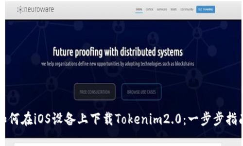如何在iOS设备上下载Tokenim2.0：一步步指南