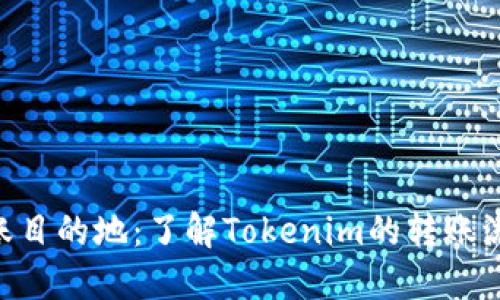 Tokenim转账目的地：了解Tokenim的转账流程与安全性