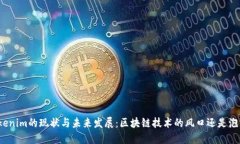 Tokenim的现状与未来发展：区块链技术的风口还是