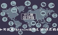 如何使用Tokenim进行支付：详尽指南