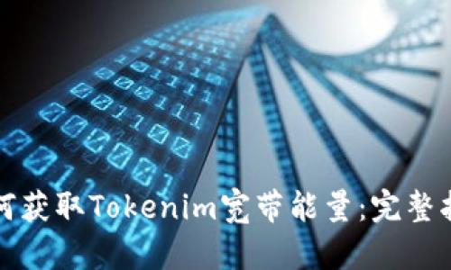 如何获取Tokenim宽带能量：完整指南