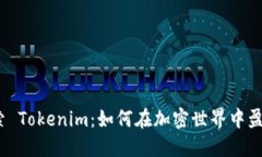 探索 Tokenim：如何在加密世界中盈利？