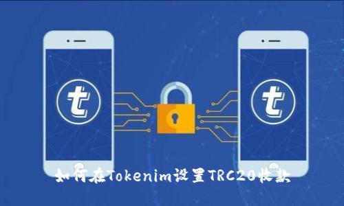 如何在Tokenim设置TRC20收款