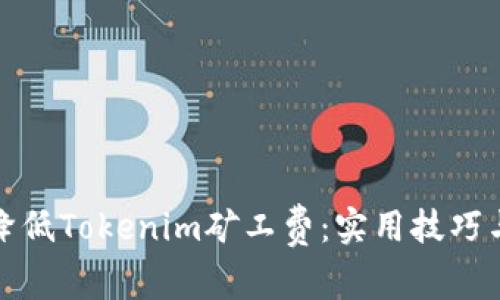 如何降低Tokenim矿工费：实用技巧与策略