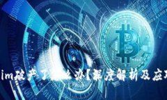 Tokenim破产了怎么办？深度解析及应对策略