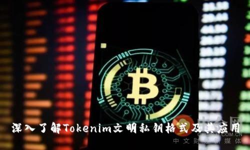 深入了解Tokenim文明私钥格式及其应用