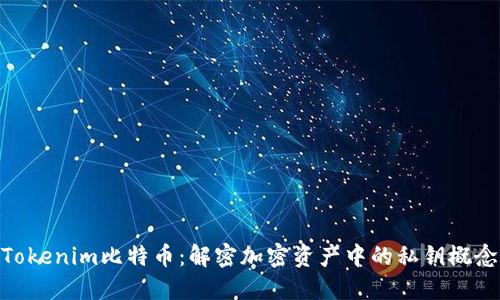 Tokenim比特币：解密加密资产中的私钥概念