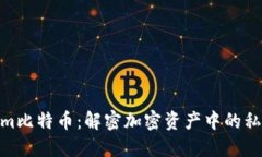 Tokenim比特币：解密加密资产中的私钥概念