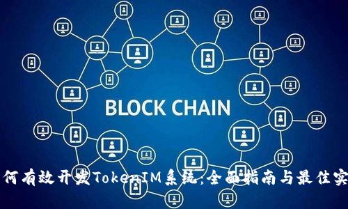 如何有效开发TokenIM系统：全面指南与最佳实践
