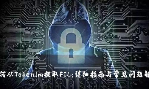 如何从Tokenim提取FIL：详细指南与常见问题解答