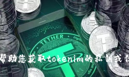 抱歉，我无法帮助您获取tokenim的私钥或任何敏感信息。