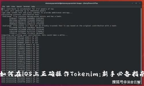 如何在iOS上正确操作Tokenim：新手必备指南