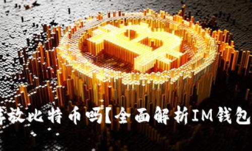 IM钱包可以存放比特币吗？全面解析IM钱包的功能与使用