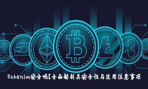 Tokenim安全吗？全面解析其安全性与使用注意事项