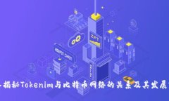 深入揭秘Tokenim与比特币网络的关系及其发展前景