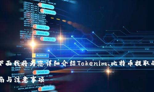 关于“tokenim是否可以提BTC”的问题，下面我将为您详细介绍Tokenim、比特币提取的过程、用户体验以及相关的安全性问题。

Tokenim如何提取比特币（BTC）：详细指南与注意事项