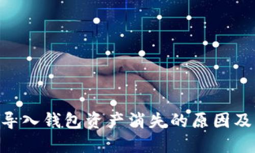 Tokenim导入钱包资产消失的原因及解决方案