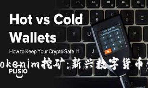 深入解析Tokenim挖矿：新兴数字货币生态的探索