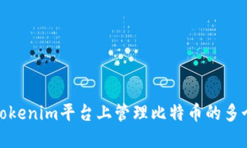 如何在Tokenim平台上管理比特币的多个子地址