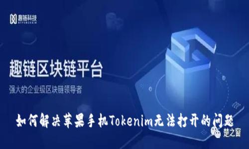 如何解决苹果手机Tokenim无法打开的问题