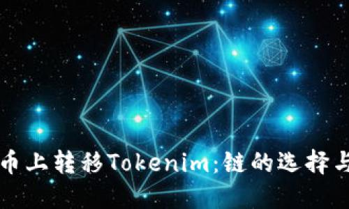 如何在火币上转移Tokenim：链的选择与操作指南