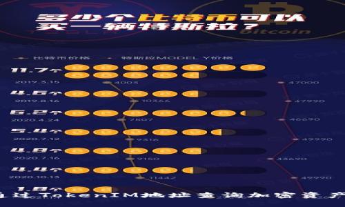 如何通过TokenIM地址查询加密资产信息？