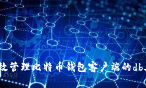 如何有效管理比特币钱包客户端的db.log文件