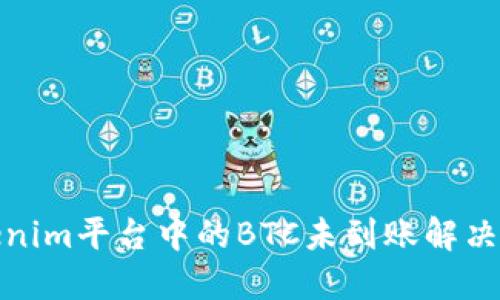 Tokenim平台中的BTC未到账解决方案