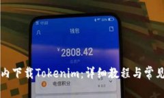 如何在国内下载Tokenim：详细教程与常见问题解析