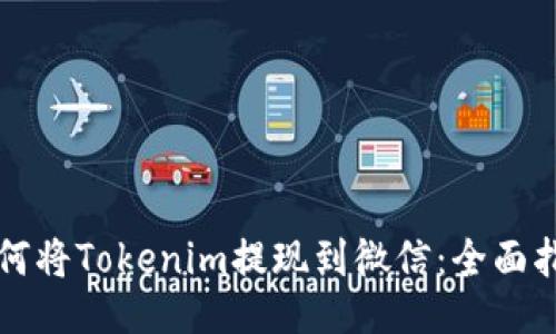如何将Tokenim提现到微信：全面指南