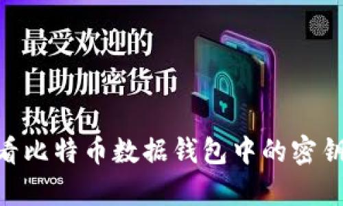 如何查看比特币数据钱包中的密钥（Key）？