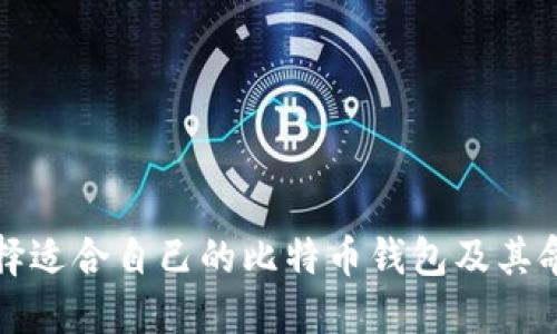 如何选择适合自己的比特币钱包及其命名技巧