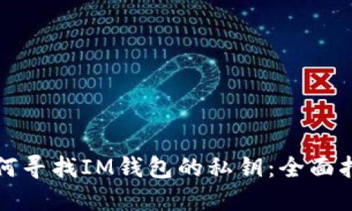 如何寻找IM钱包的私钥：全面指南