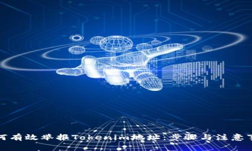 如何有效举报Tokenim地址：步骤与注意事项