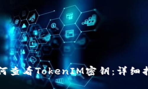 如何查看TokenIM密钥：详细指南